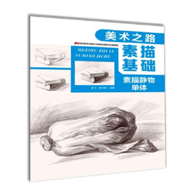 正版新书】美术之路 素描基础 素描静物单体姜飞,张文博 编97875