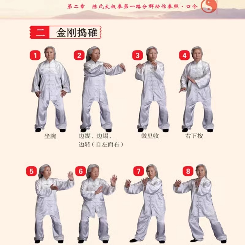 [正版]赠视频陈氏太极拳 书籍 体育运动健身入门拳法书籍 太极拳教程书籍 陈氏太极拳老架一路二路图说教程实用拳法 太极高清大图