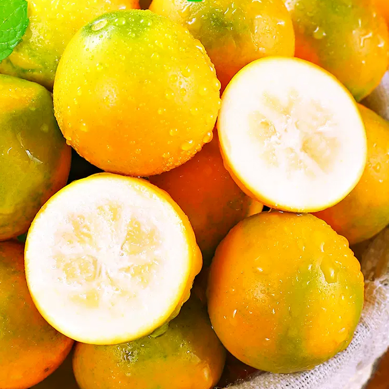 [西沛生鲜]广西小金桔 5斤 大果 约35个/斤 新鲜水果脆甜滑皮冰糖金桔应当季水果高清大图