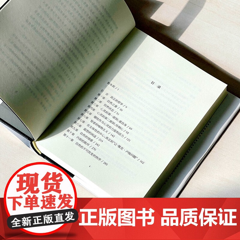 卢梭 一种心灵的哲学 保罗·奥迪 著 哲学高清大图