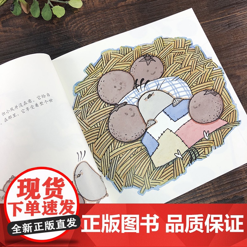 百鸟朝凤 蔡峰 中国经典故事绘本系列 连环画小人书儿童故事书经典漫画书籍少儿读物 上海人民美术出版社高清大图