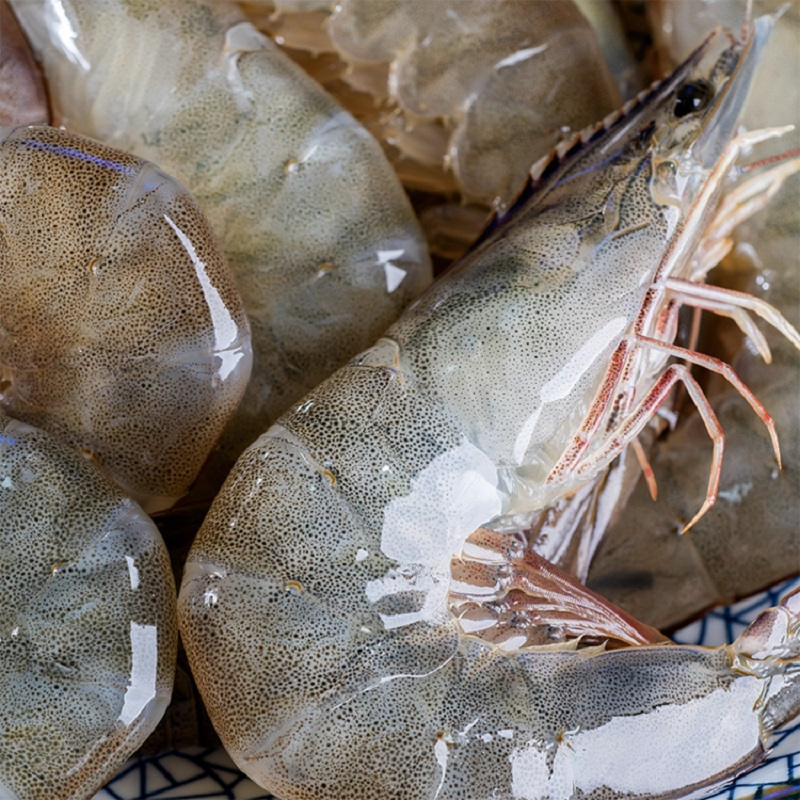 大虾海捕净重3斤鲜活速冻新鲜水产盐冻基围虾连云港