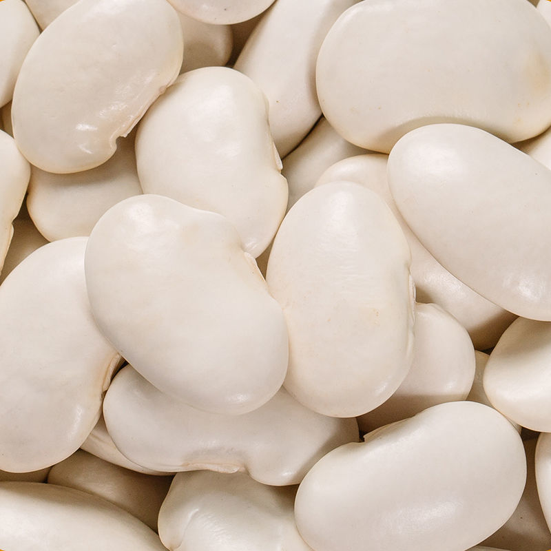新货大白芸豆白云豆京豆大雪豆云南农家大白芸豆五谷杂粮中颗粒半斤