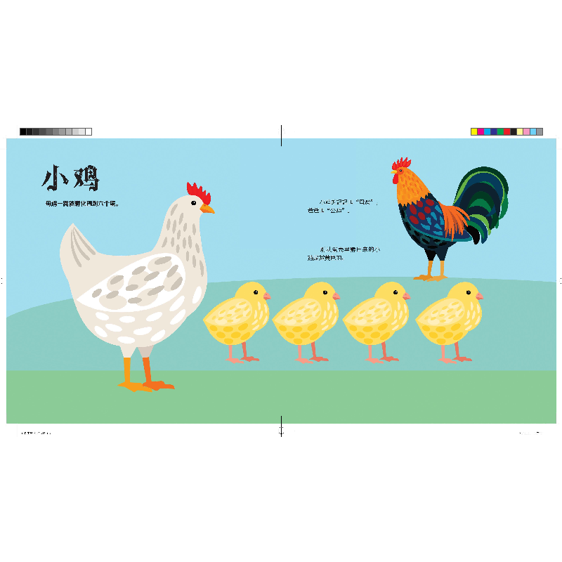 正版新书]低幼科普立体书•动物宝宝(精)/低幼科普立体书戴维·霍高清大图
