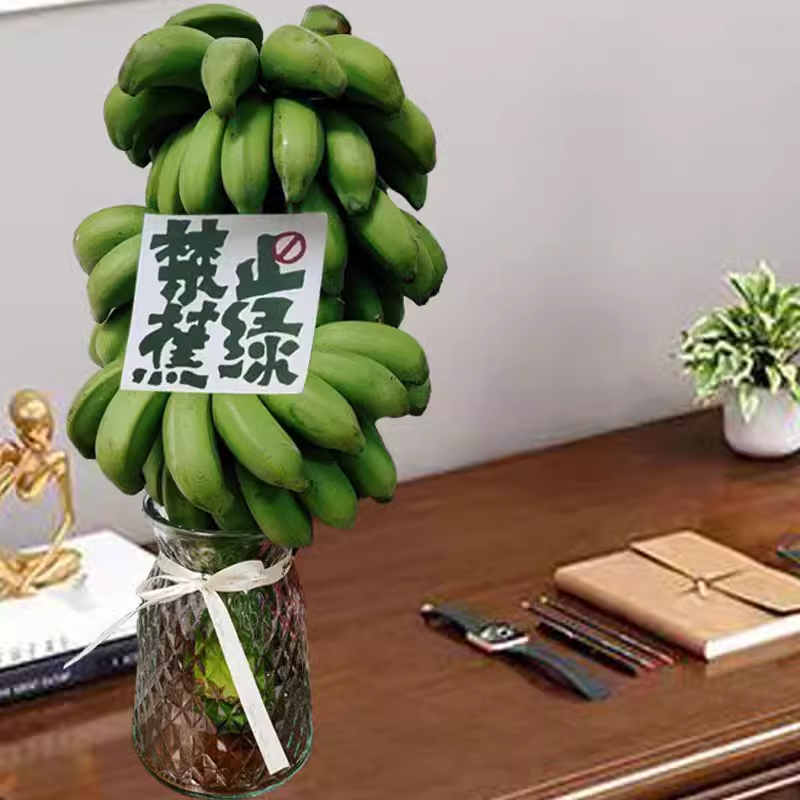 卡片随机[西沛生鲜]新鲜小米蕉 禁止蕉绿 4斤 2-3把 新鲜当季水果 香甜软糯 办公桌绿植