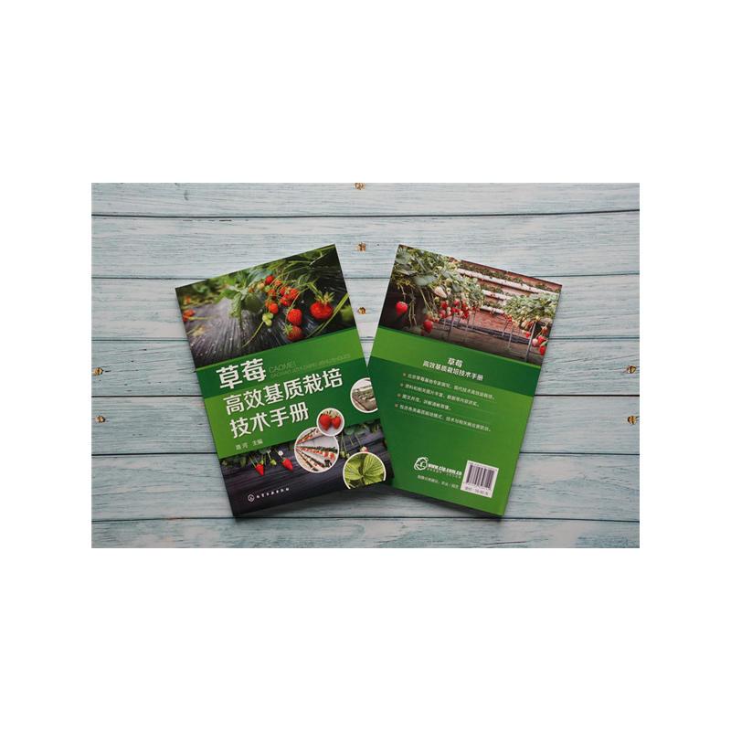 [正版]草莓高效基质栽培技术手册 草莓种植书籍大全农业技术果树种植病虫害图谱与防治栽培技术农业书籍科学实用果树栽培生产