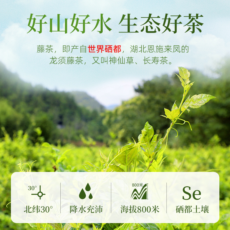 茶馬世家一级恩施藤茶袋装100g高清大图