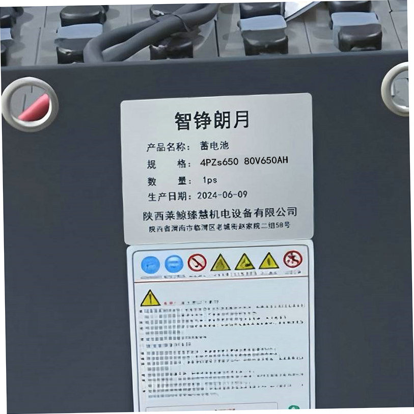 智铮朗月 蓄电池 4PZs650 80V650AH 组高清大图