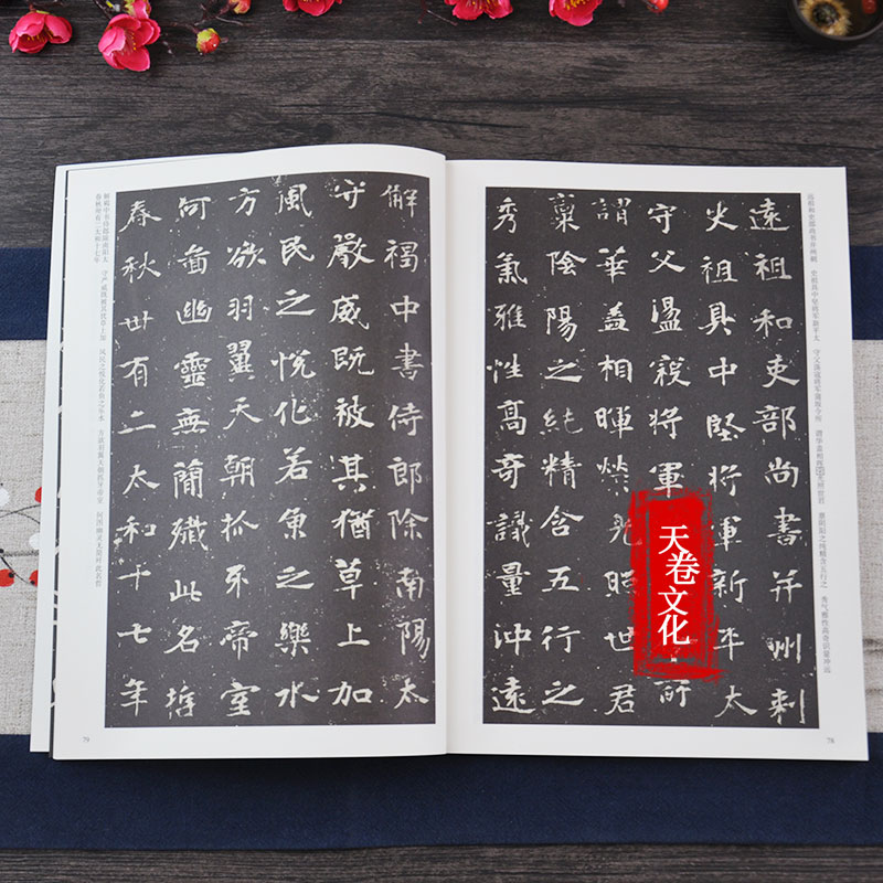 [正版]天卷 北魏 墓志铭选 历代碑帖 杜浩主编 楷书毛笔字帖书法临摹练 元桢墓志铭李壁墓志铭美人董氏墓志铭 简体旁注高清大图