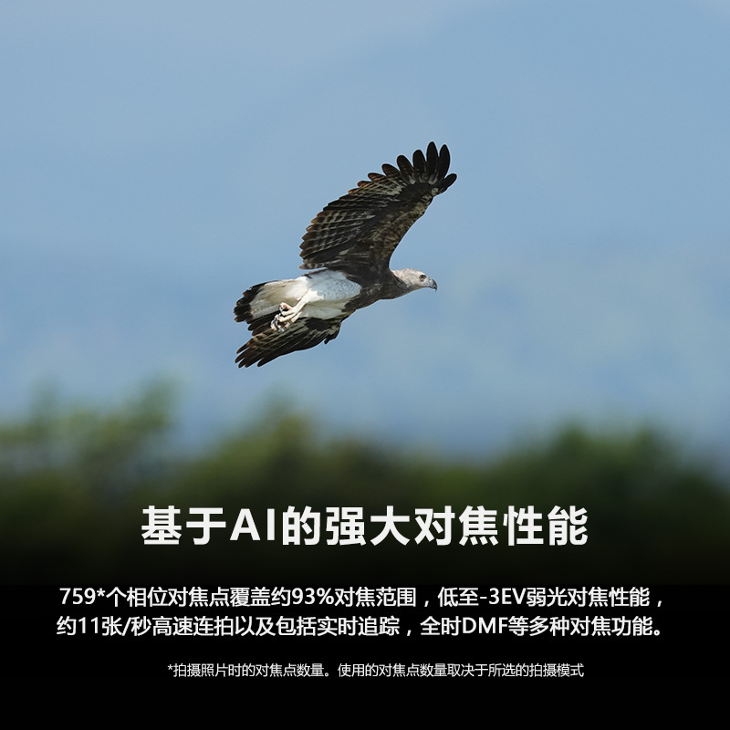 索尼(sony)Alpha 6700 新一代APS-C半画幅微单™数码相机 单机身 (ILCE-6700/α6700)