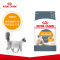 ROYAL CANIN 皇家猫粮 H33美毛呵护成猫猫粮 全价粮 2kg 健康皮肤 被毛亮泽