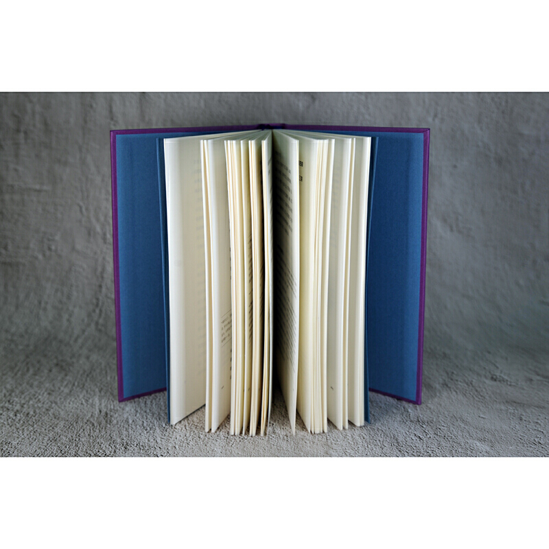 [正版] 日本文学史(日本学泰斗唐纳德·基恩叹服梦幻名著,讲谈社学术文库扛鼎之作)小西甚一 译林出版社 书籍高清大图