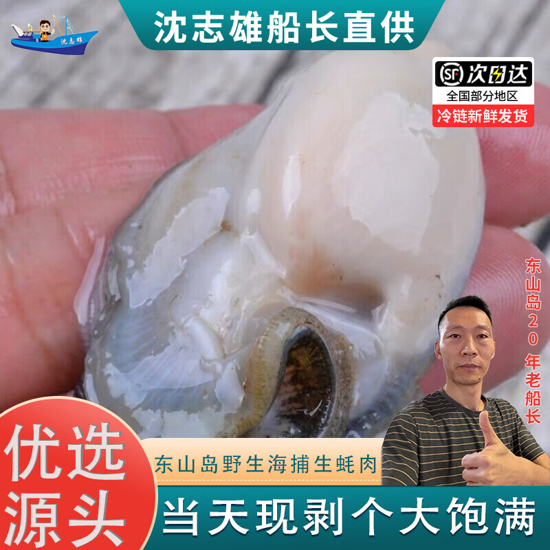 沈志雄东山岛澳角村海鲜生蚝纯肉鲜甜当天现剥生蚝肉海蛎肉牡蛎肉4斤小生蚝肉高清大图