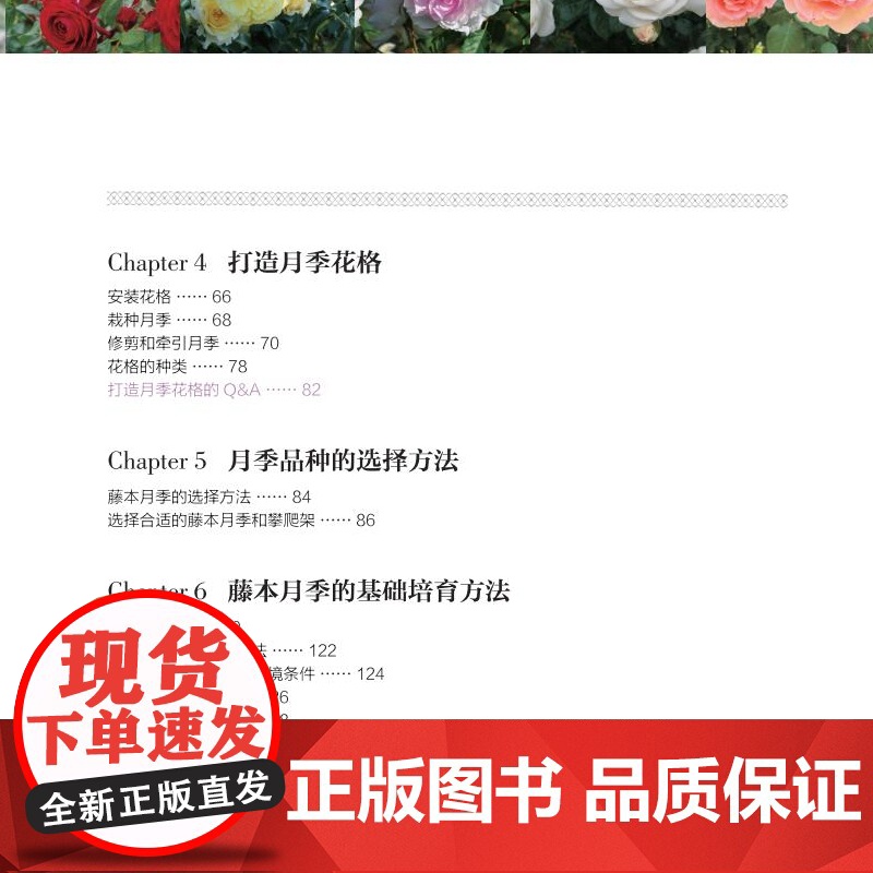 : 藤本玫瑰月季造景技巧 绿手指玫瑰大师系列 花拱门 花墙 花柱 花屏风 实操手册高清大图