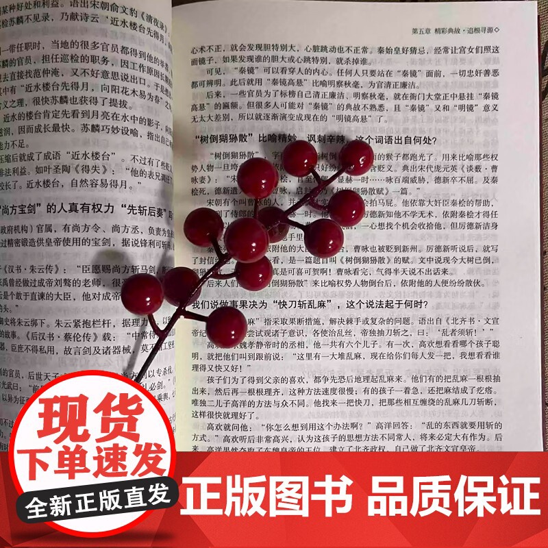 中国文化800问知识百科国学经典人文历史文学常识书籍学霸秘籍高清大图