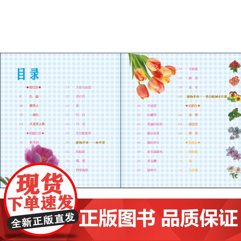 好看的植物 发现植物 科普读物 植物百科 少年儿童出版社高清大图