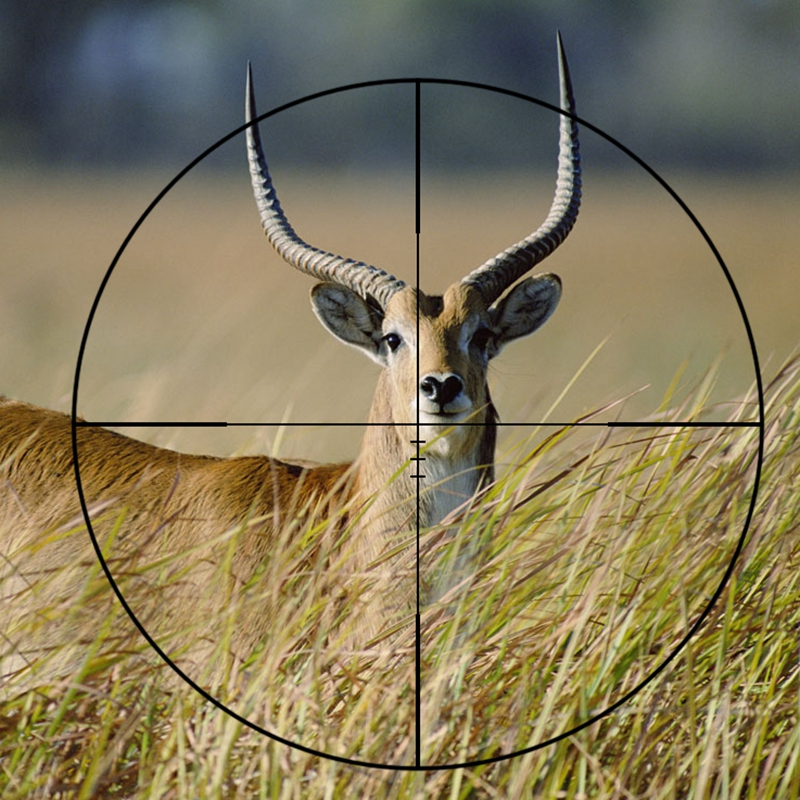 weaver39x40高抗震高清晰大视野快排吹滑膛十字光学瞄准器狙击瞄准镜