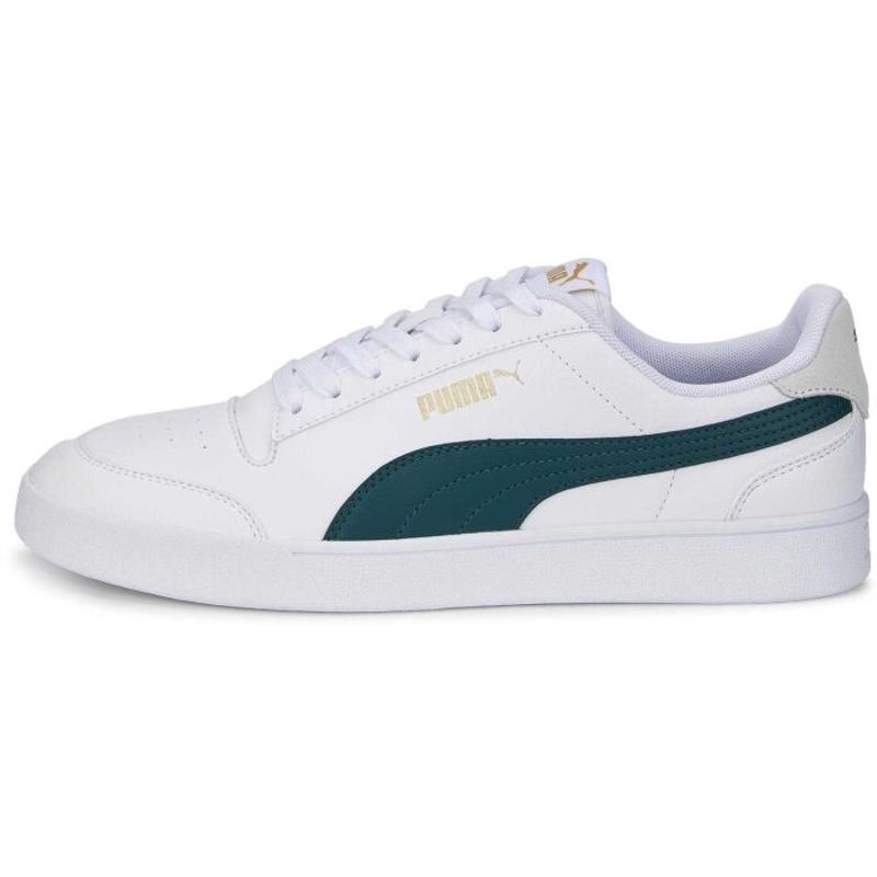 彪马(Puma)Puma男士系带休闲轻便综合训练鞋室内健身鞋经典百搭配 white_(white_/_dark_green_/_go 46
