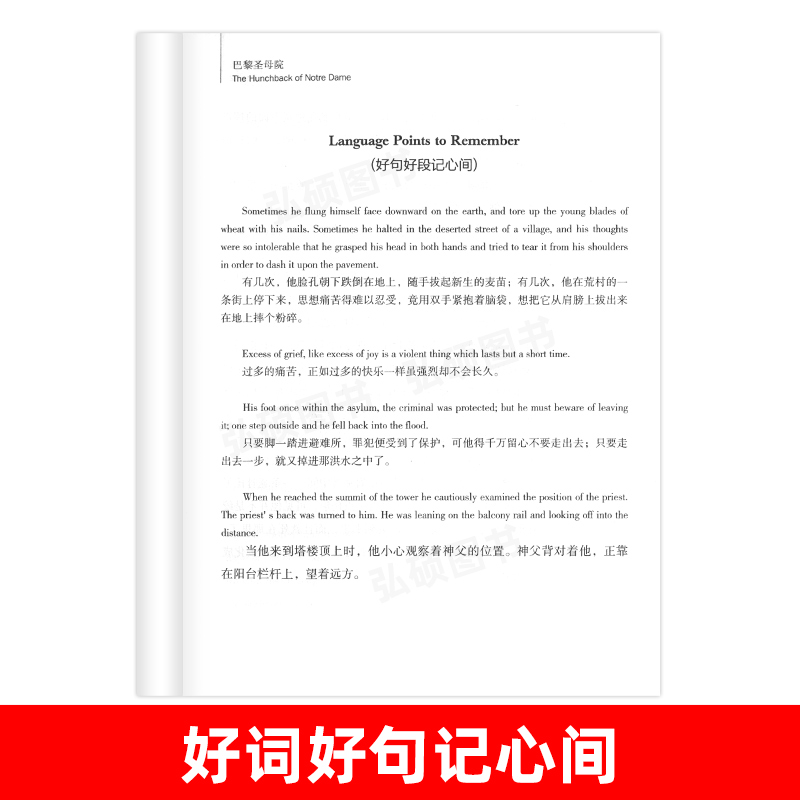 [正版]英汉双语名著读物 巴黎圣母院 原版原著英语书籍名著双语版英语名著阅读课外读物小学初中高中英语读物中英双语读物巴高清大图