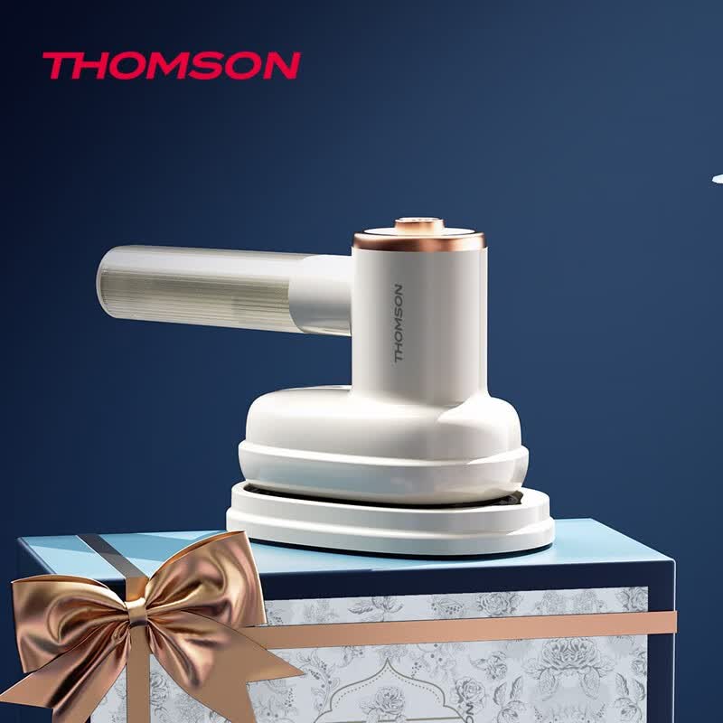 THOMSON便携式手持挂烫机熨烫机熨斗C-T0118高清大图