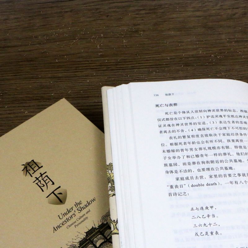 [正版]祖荫下 传统中国的亲属关系 人格和社会流动 智慧宫丛书024 文化研究社区研究 田野调查 社会学 书店书籍高清大图