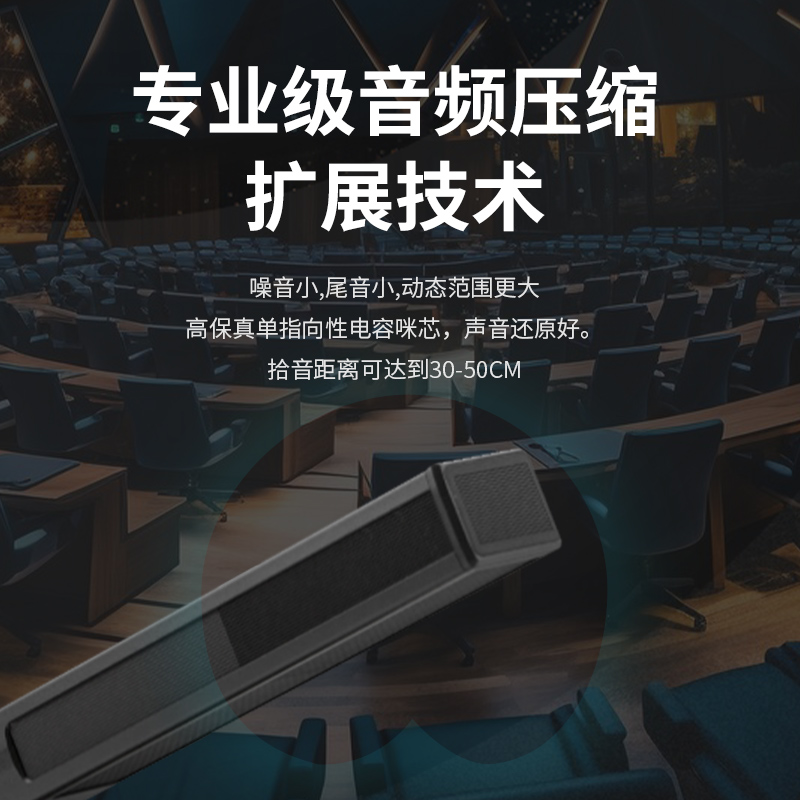 润普Runpu会议音频扩声系统 UHF红外对频 桌面式方杆话筒专业无线一拖二鹅颈麦克风RP-SU28F高清大图