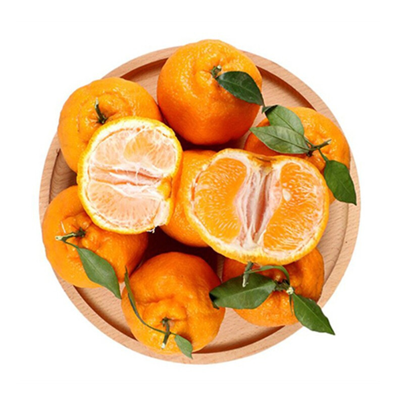 耙耙柑果肉白点(耙耙柑果肉上有白色点点)