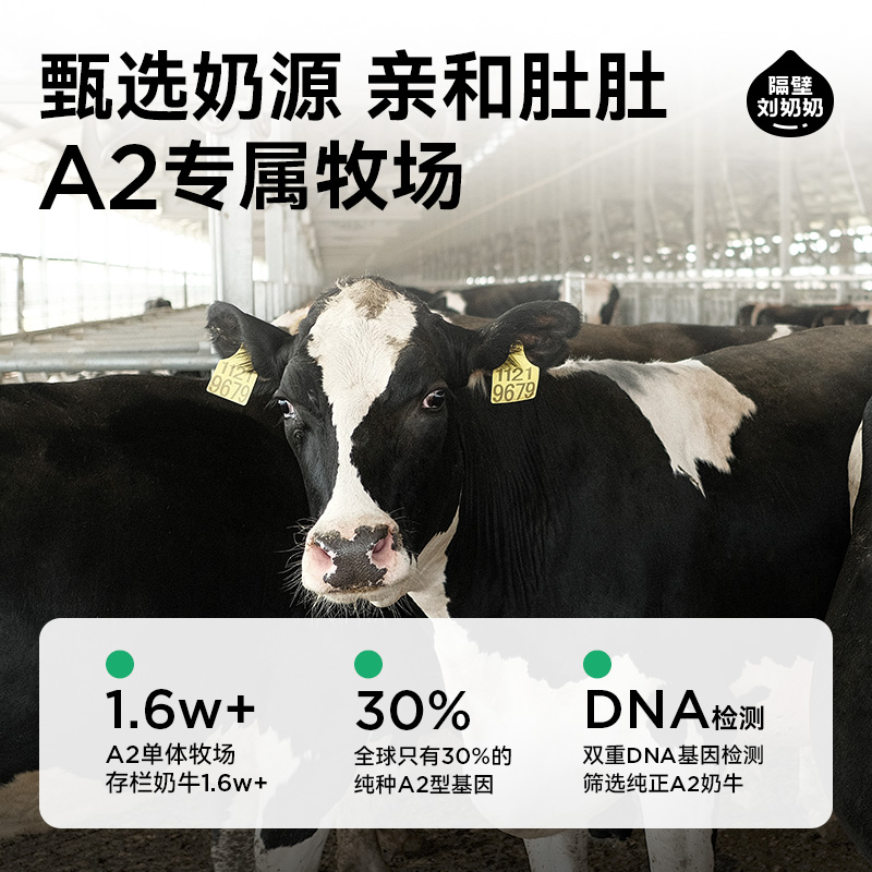 隔壁刘奶奶A2纯牛奶125ml*9盒高清大图