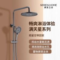 SEREN HOME 赛恩卫浴淋浴花洒套装增压喷枪浴室洗澡喷头莲蓬头黄铜沐浴套装枪灰色黑色