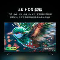 雷鸟雀5 25款50英寸4K超高清智能网络WiFi语音 2+32GB 液晶平板电视机50F295C