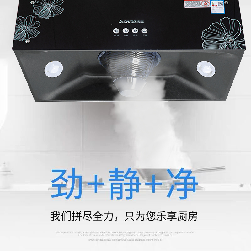志高(CHIGO)H093+F210D 中式顶吸式抽烟机燃气灶具烟灶套餐(天然气)