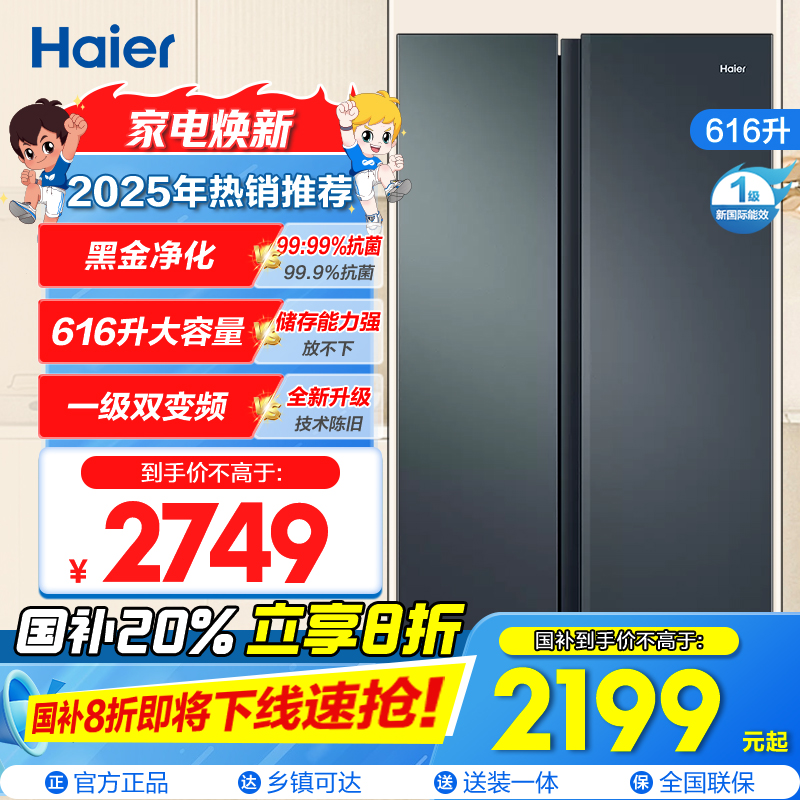 海尔(Haier)616升对开门超薄嵌入冰箱 鲸式储量 黑金净化 双变频一级能效 BCD-616WGHSSEDC9