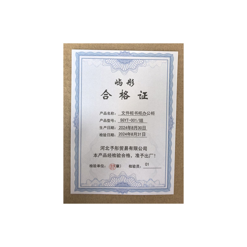 屿彤文件柜书柜办公柜SGYT-001/组高清大图