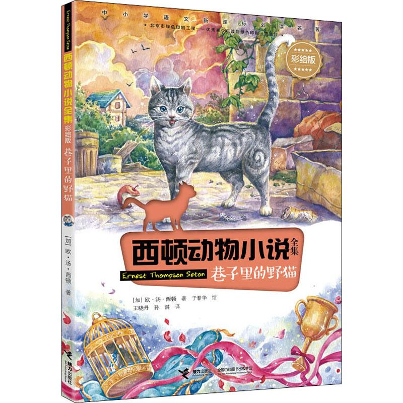 醉染图书巷子里的野猫9787544863339高清大图