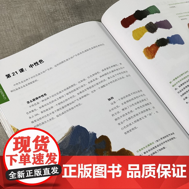 30天学会色彩 丙烯油画水彩上色规律27个色彩运用技巧基础色彩理论混色原理配色组合运用技巧基础入门技法教学 风景色彩基础高清大图