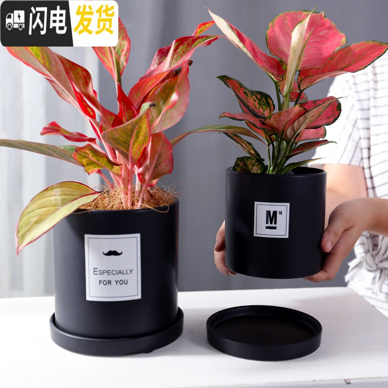 三维工匠简约圆柱ins北欧风带托盘室内沙漠植物现代创意陶瓷多肉花盆批发 哑光灰(FORYOU) 中等花盆容器