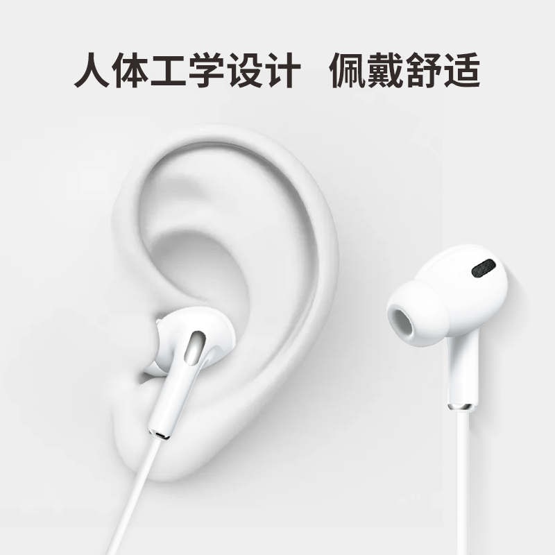 疯的鸟有线耳机入耳式适用于华为小米手机 Type-C接口耳机