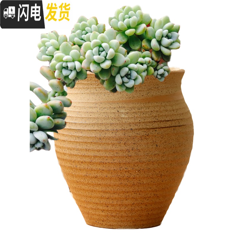 三维工匠素烧多肉花盆大号粗陶透气复古老桩兰花盆创意植物组合高盆栽 19号粗陶盆 大花盆容器高清大图