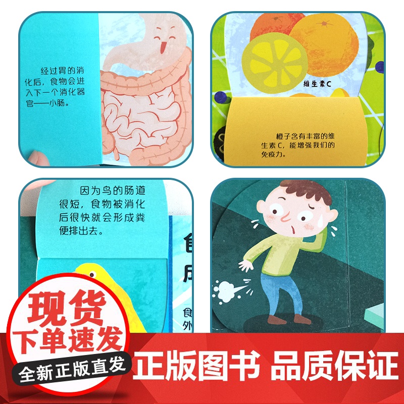 呦呦童正版 你问我答翻翻书揭秘食物 儿童碳水化合物小百科秒懂科普答疑解惑 幼儿宝宝0-3-6岁趣味阅读早教益智启蒙机关玩高清大图
