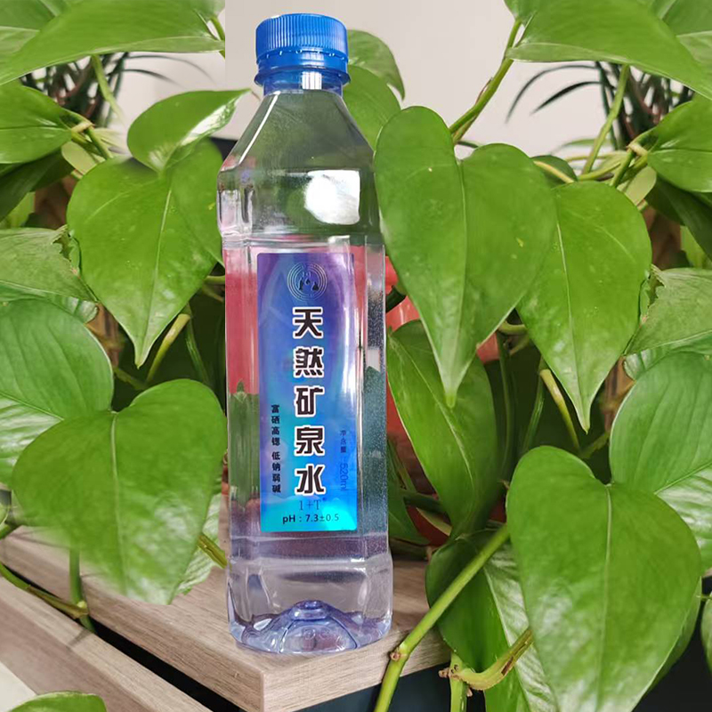 1+T 天然矿泉水 520ml*24瓶/件高清大图