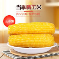 玉米巨沃东北黄糯玉米[10袋*210g]