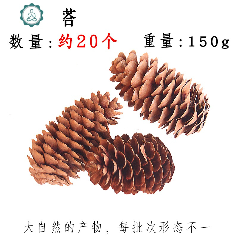 天然油松塔装饰干花材料居家手工diy幼儿园挂饰松果棉花树枝橡果 封后 云松塔150g20个左右 干花包