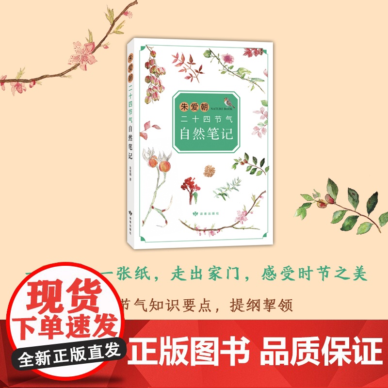 朱爱朝二十四节气自然笔记 马云 二十四节气 自然观察 小学生书目 课外阅读 7-10岁高清大图