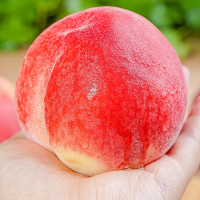 [熊猫鸟]新鲜红宝石水蜜桃 大果 净重2斤 单果100-120g 新鲜桃子当季现摘整箱毛桃子油脆甜桃大果