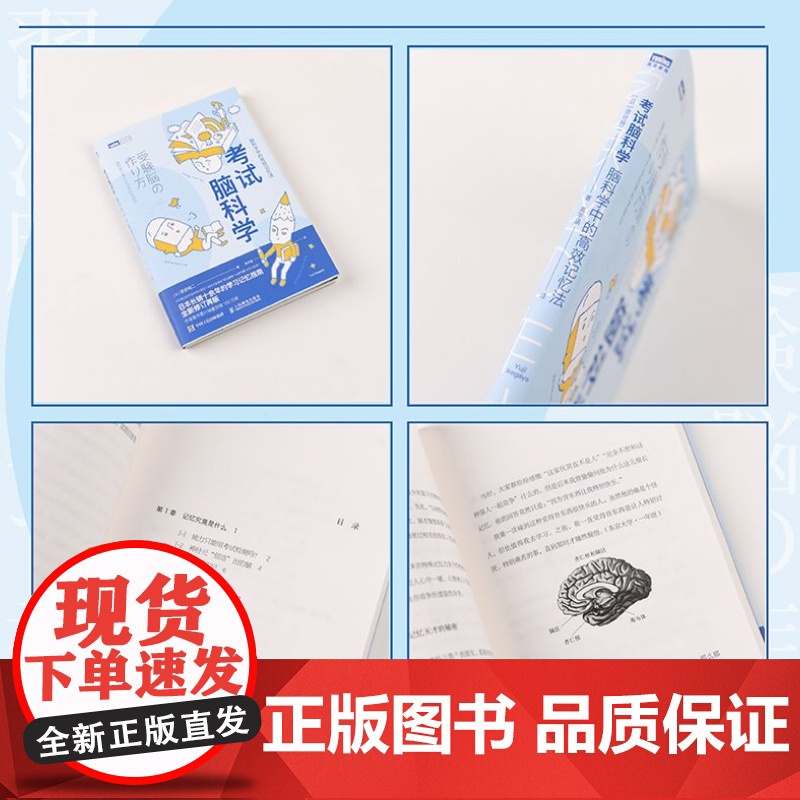 考试脑科学 脑科学中的高效记忆法 全新修订版 樊登读书直播 日本十余年的学习记忆书全新修订再版高清大图