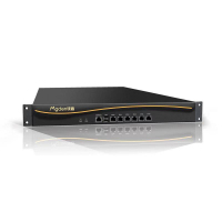 NIPS-2000-B2100-05（硬件参数：规格：1U，内存大小：4G，硬盘容量：64G minisata SSD）