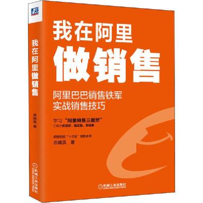 11我在阿里做销售978711165269422