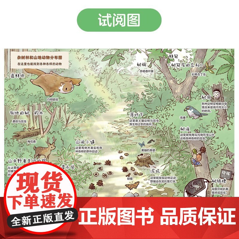 探索身边的大自然 郊外常见动物图鉴 5-10岁 一日一种 著 科普高清大图