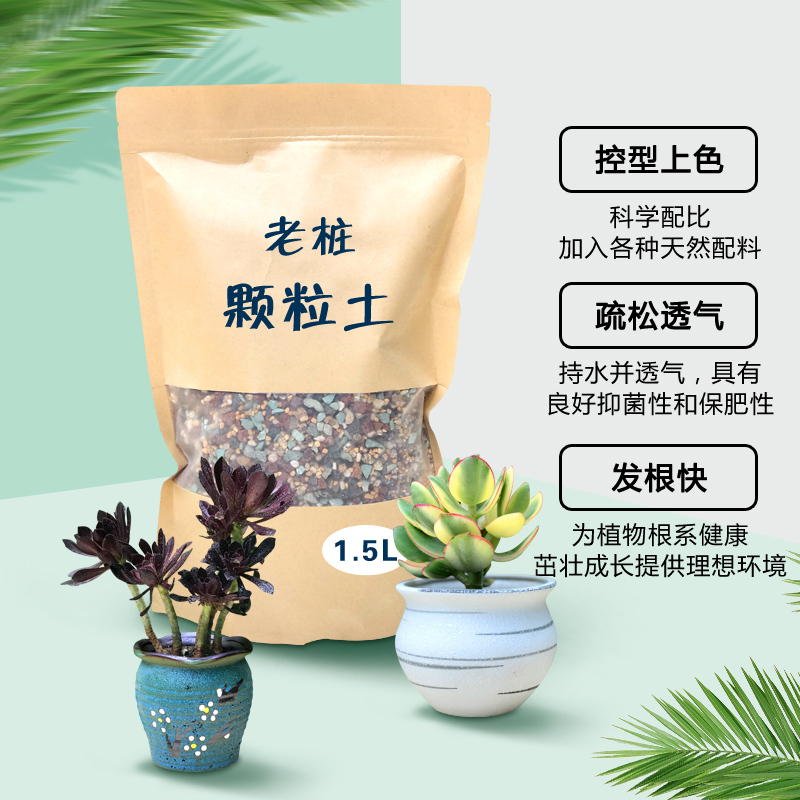 津沽园艺园艺用品花土多肉植物营养土老桩多肉土颗粒土肉肉植物种植用土报价 参数 图片 视频 怎么样 问答 苏宁易购