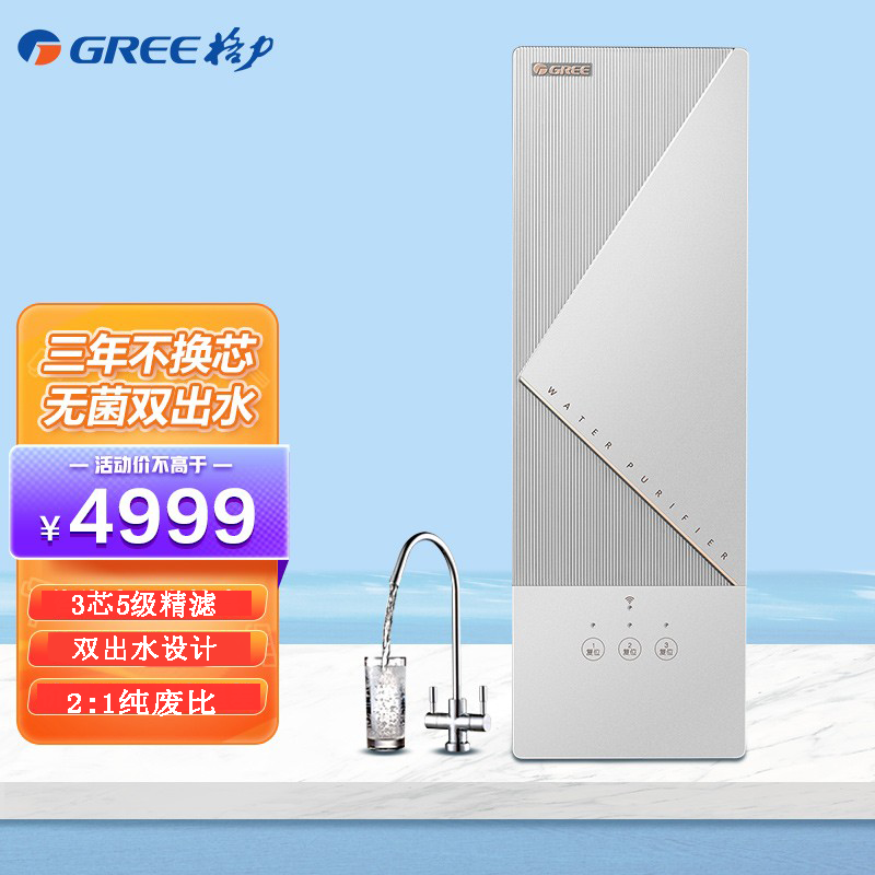 格力(GREE)净水器3年不换芯家用直饮RO反渗透过滤器无桶大通量33000L双出水直饮机WTE-PT60-3021